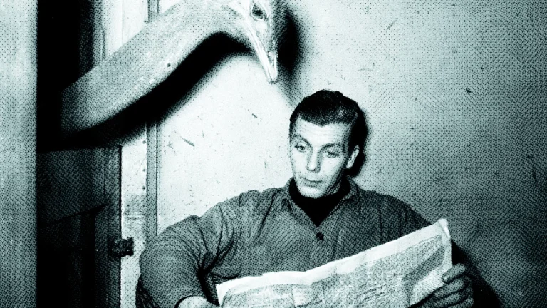 تأویل؛ منبع مشروعیت برند